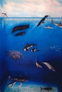 Whalemural1